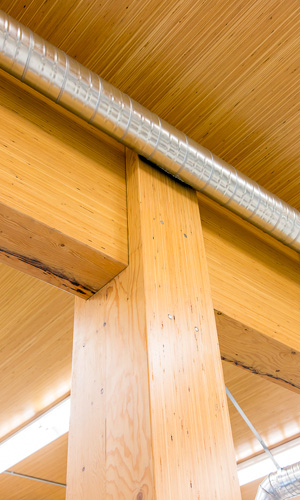 Brisco Fine Line Columns