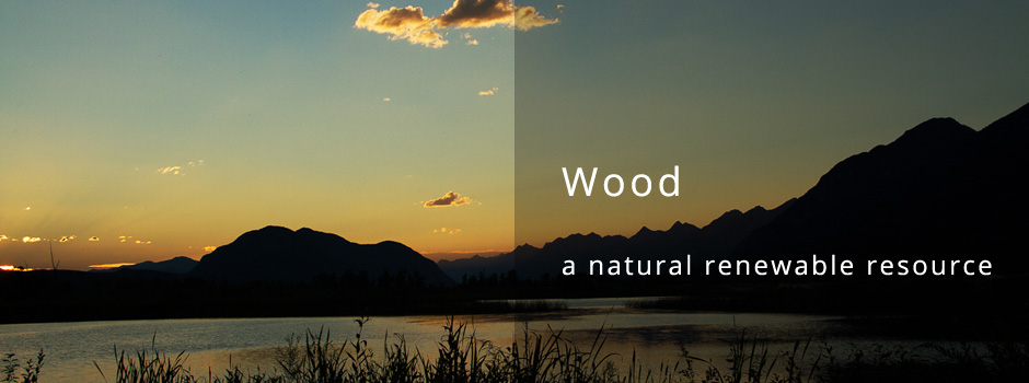 Wood - a natural renewable resource